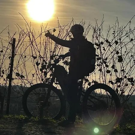 Maison Du Mathilda *